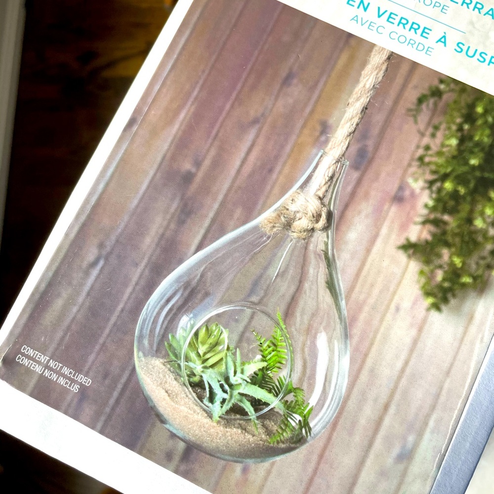 New Hanging Glass Terrarium (in original box)